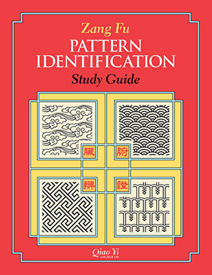 Zang Fu pattern identification study guide